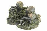 Lustrous, Epidote Crystal Cluster - Pakistan #213466-1